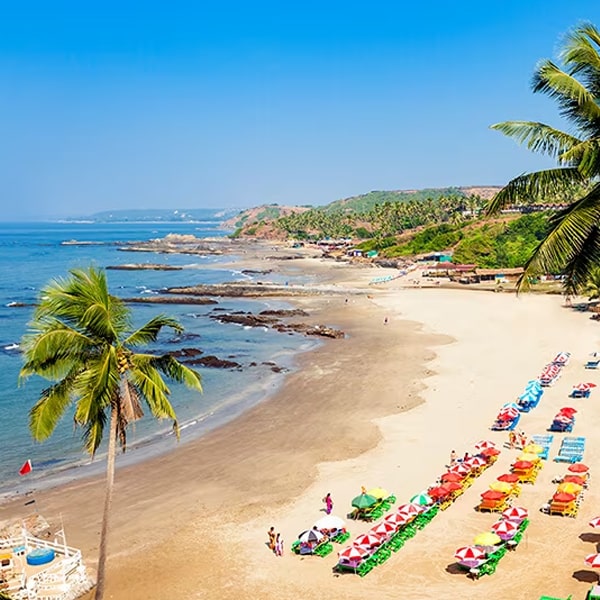 Leisure Goa Tour.jpg